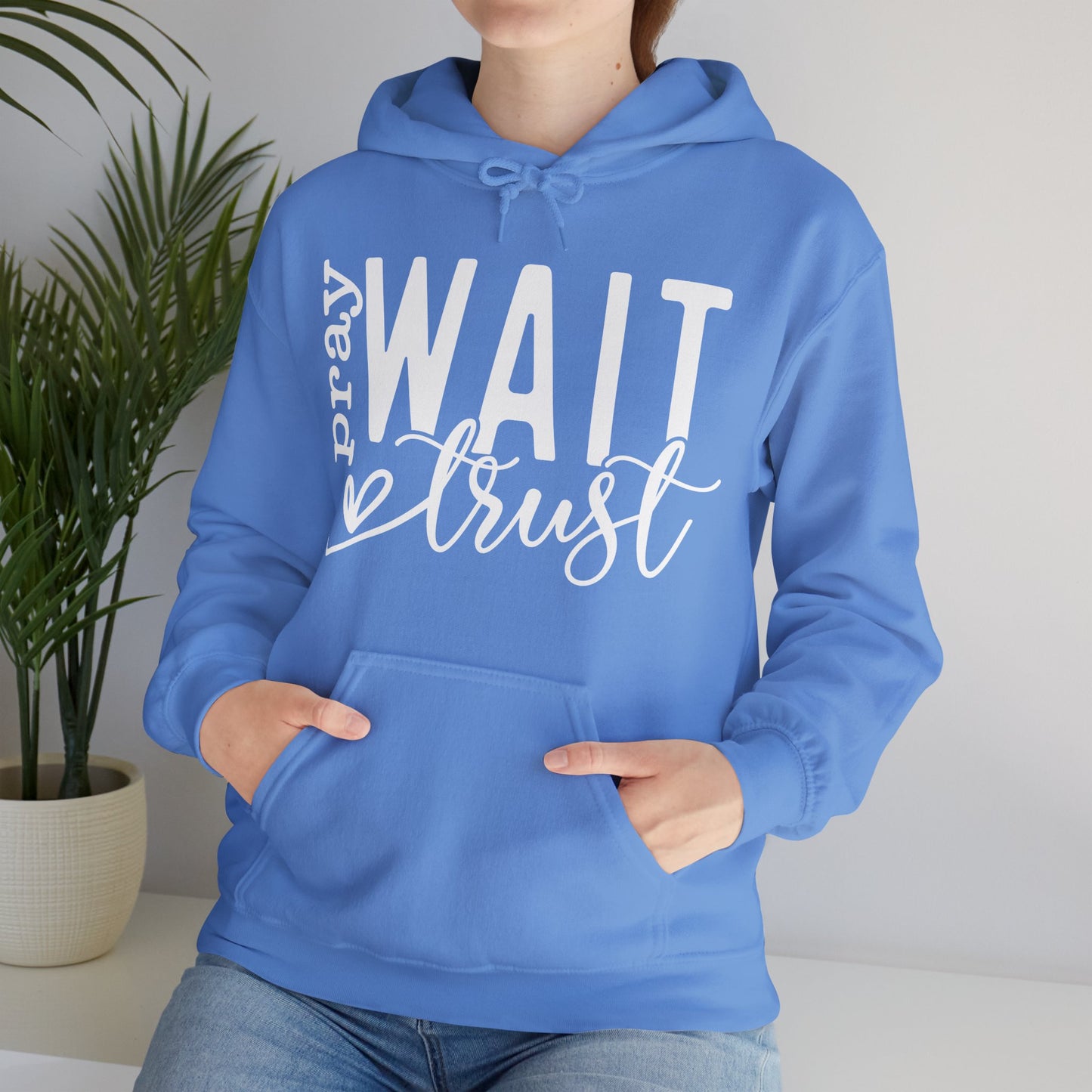 Pray Wait Trust Unisex Heavy Blend™ Hooded Sweatshirt