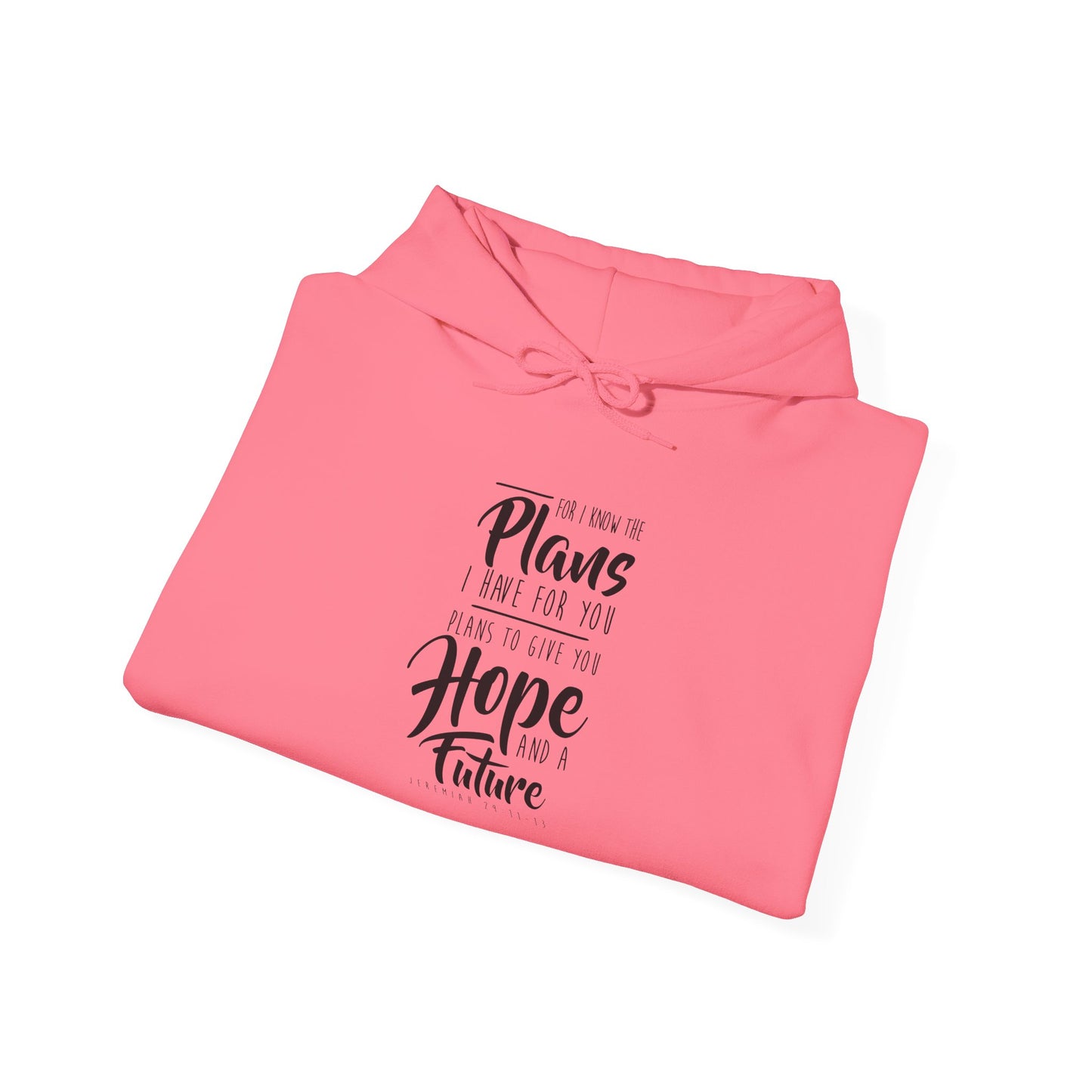 Future and A Hope Unisex Hoodie