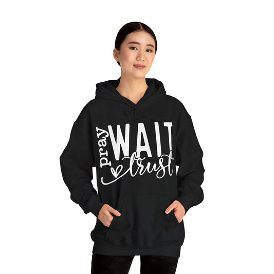 Pray Wait Trust Unisex Heavy Blend™ Hooded Sweatshirt