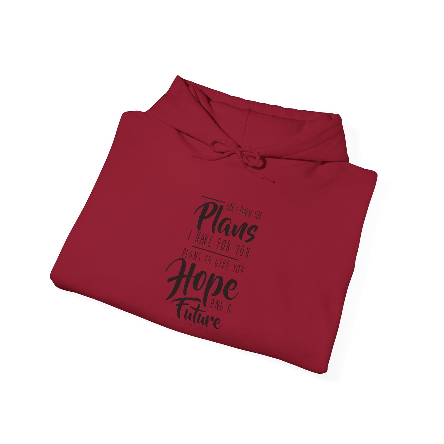 Future and A Hope Unisex Hoodie