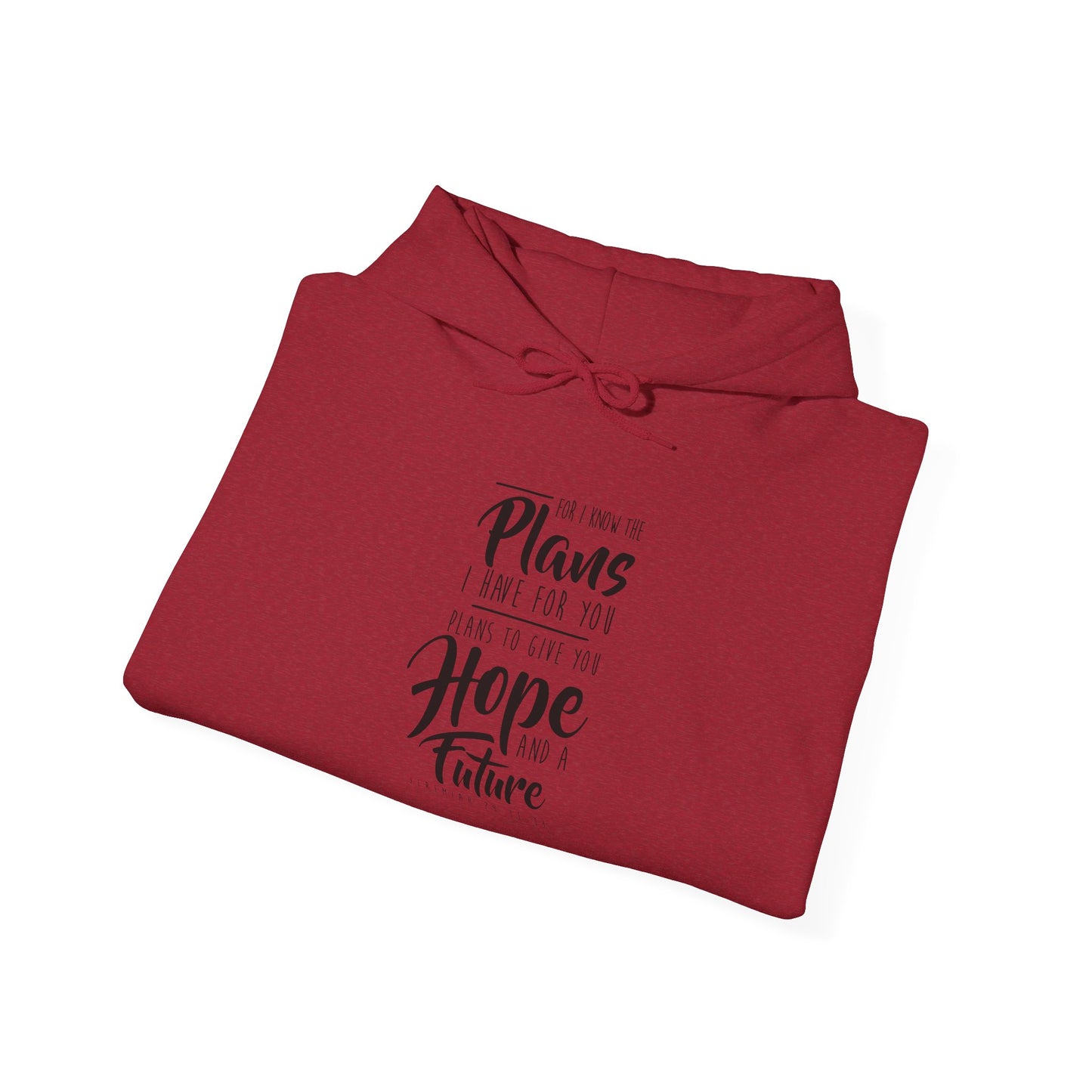 Future and A Hope Unisex Hoodie